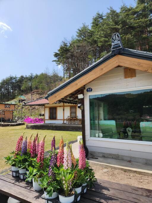 Nk House Villa Gangneung Luaran gambar